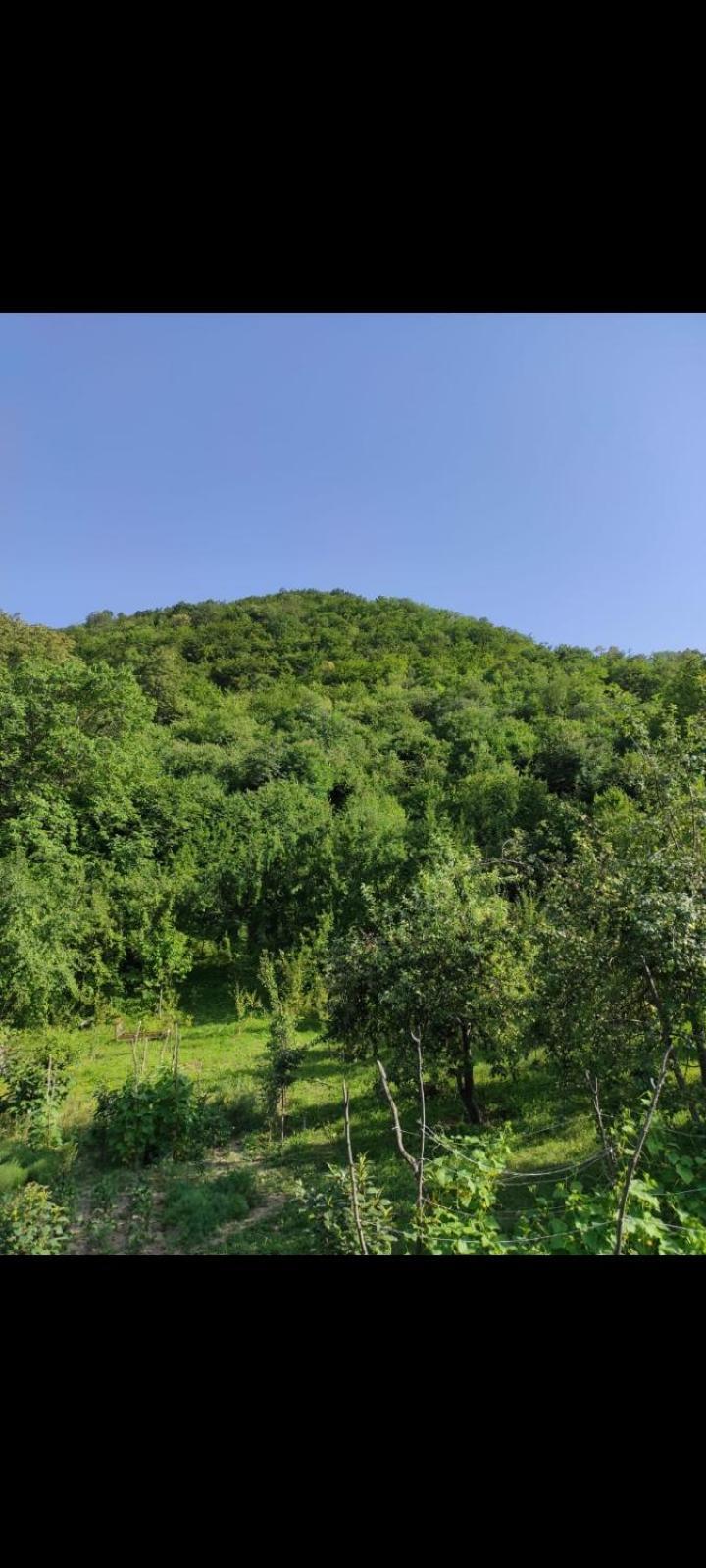 Hotel Md House Iczewan Zewnętrze zdjęcie
